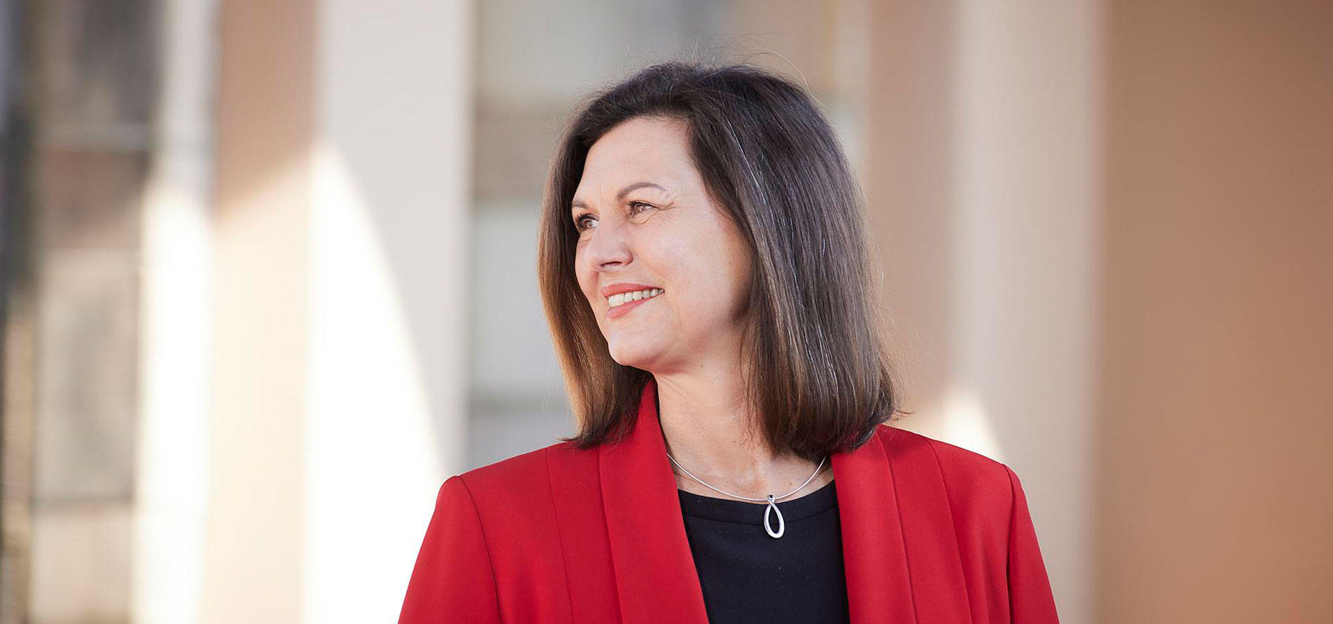 Ilse Aigner, MdL 